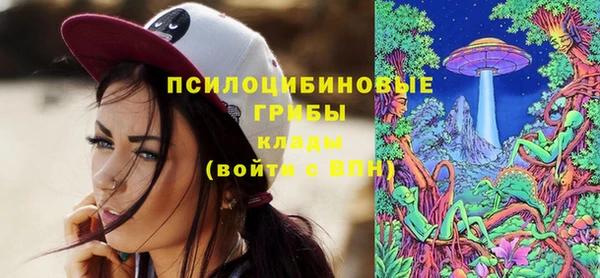 эйфоретик Баксан